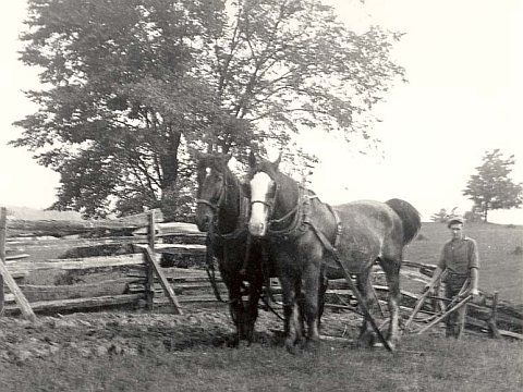 Plowing at Cliff Gordon's